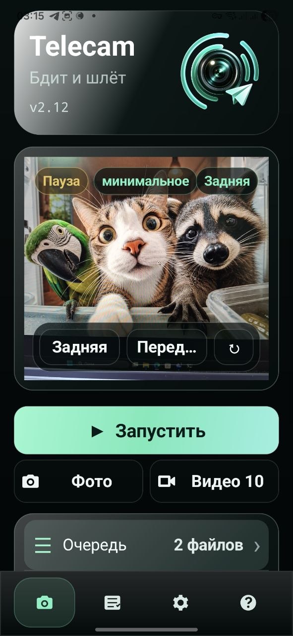 Экран Telecam с примером кадра